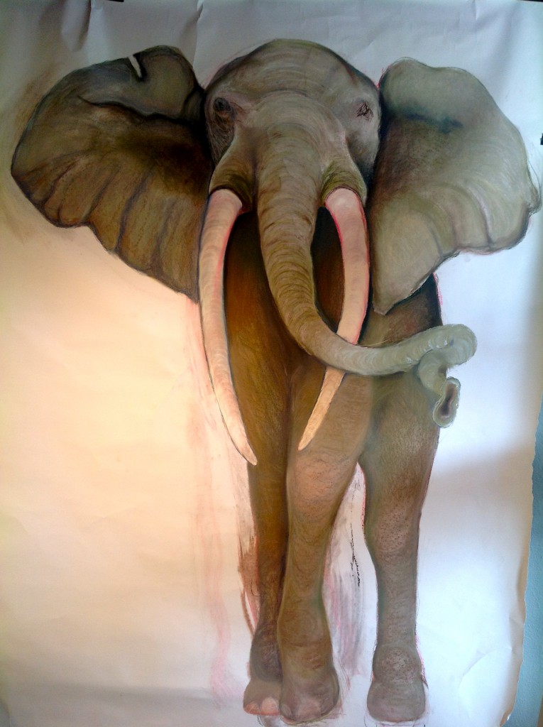 Elephant. Pastel. With Judy Blundell