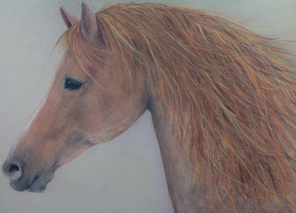 Fire Horse. Pastel on Sanded Paper