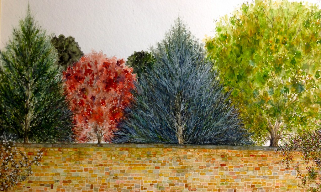 English Wall. Watercolour