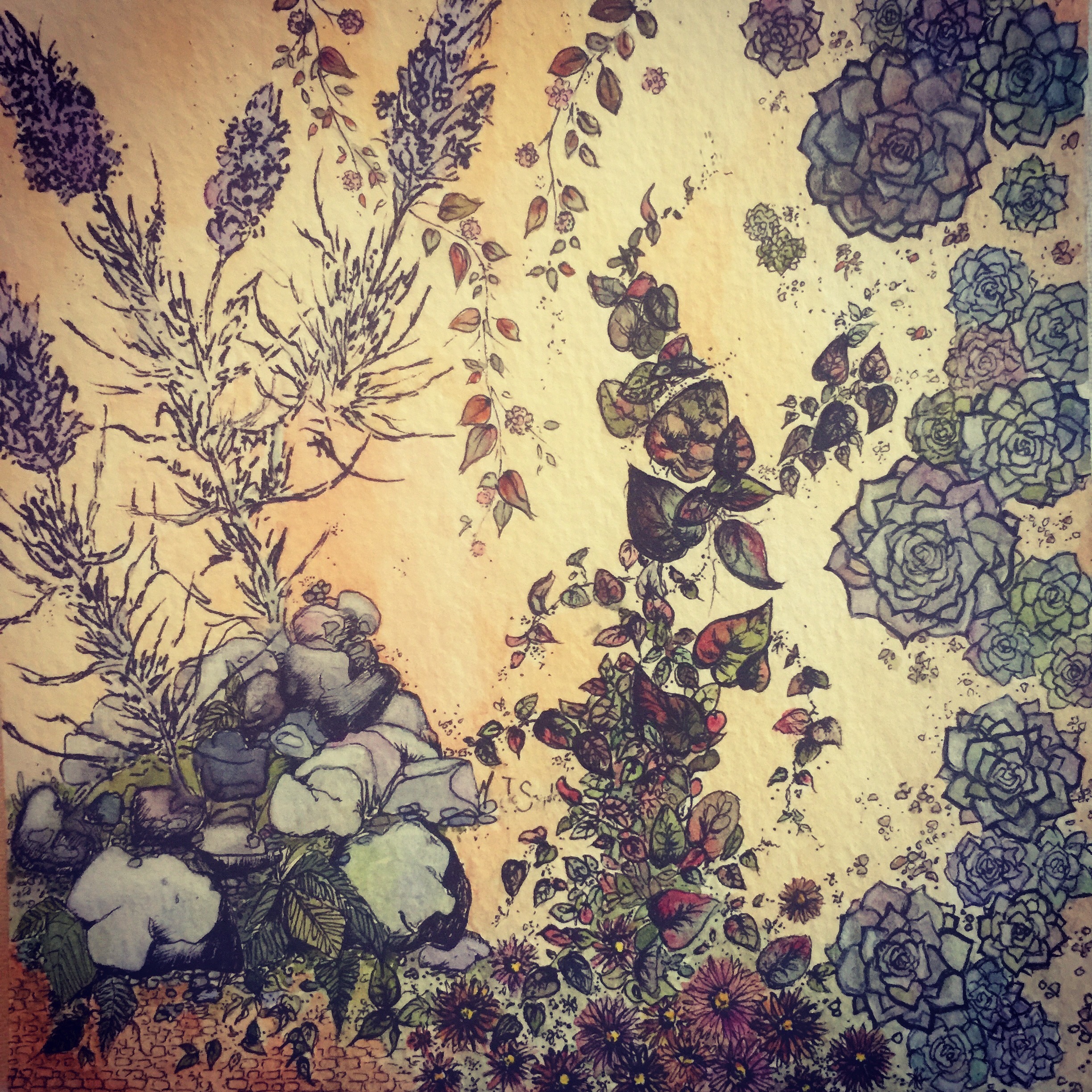 Where the Fairies Are